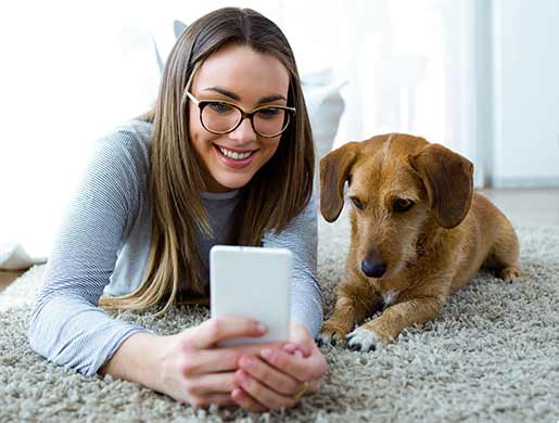 Pet Hotels - Best Western Italy